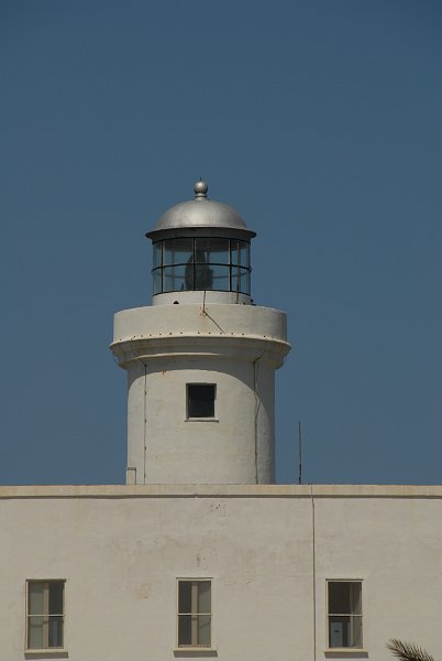 DSC_7944.JPG