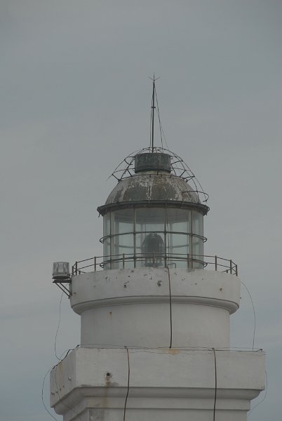 DSC_8038.JPG