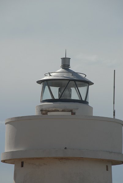 DSC_8232.JPG