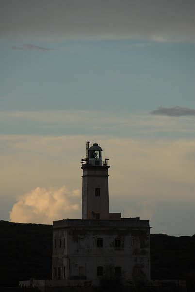 DSC_8328.JPG