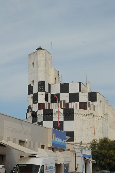 DSC_0504.JPG
