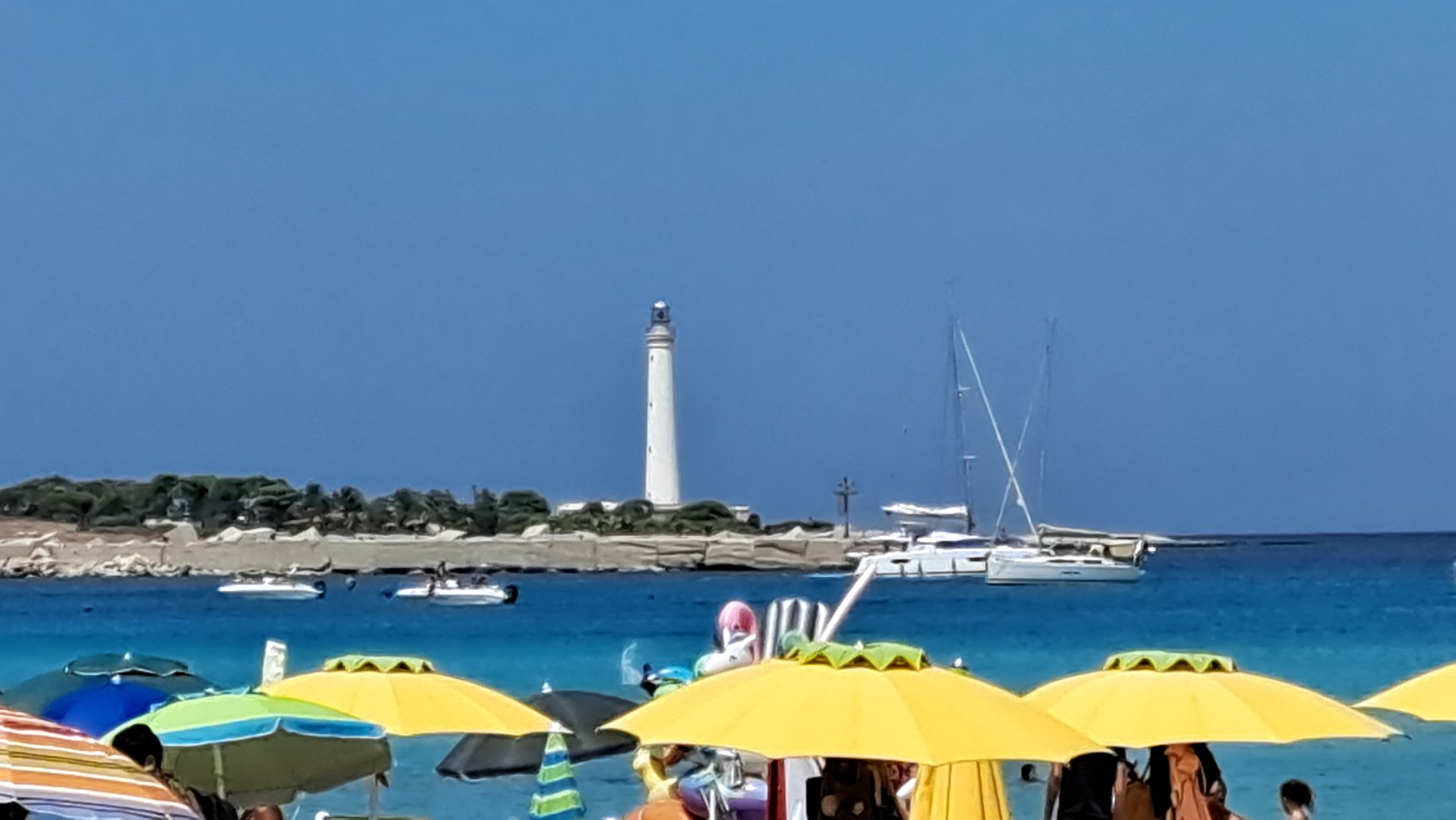 20250829_132852.jpg