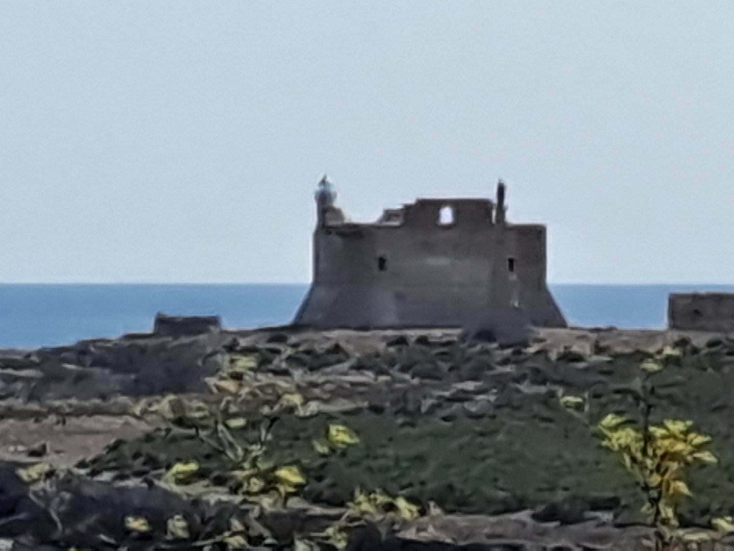 20250902_101114.jpg