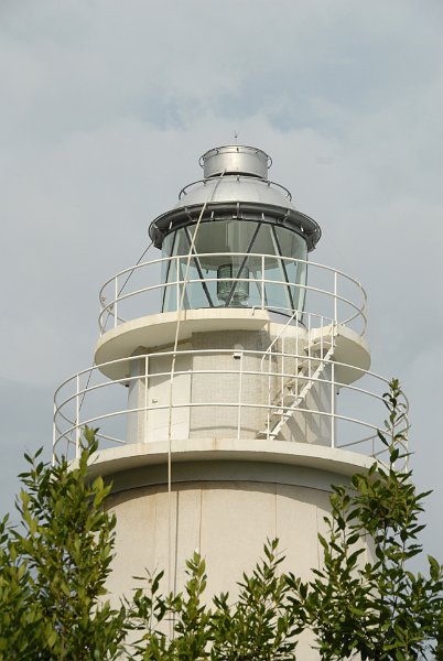 DSC_0305.JPG