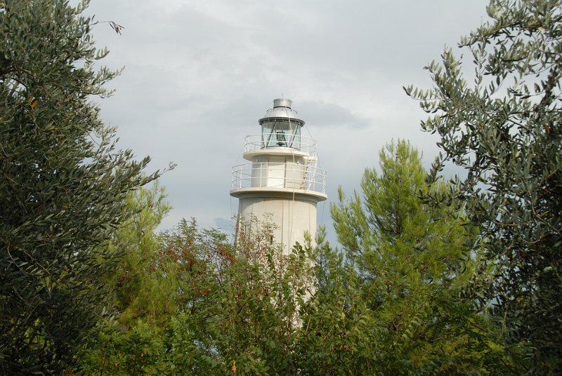 DSC_0309.JPG