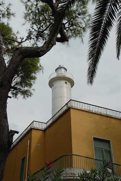 DSC_0310.JPG