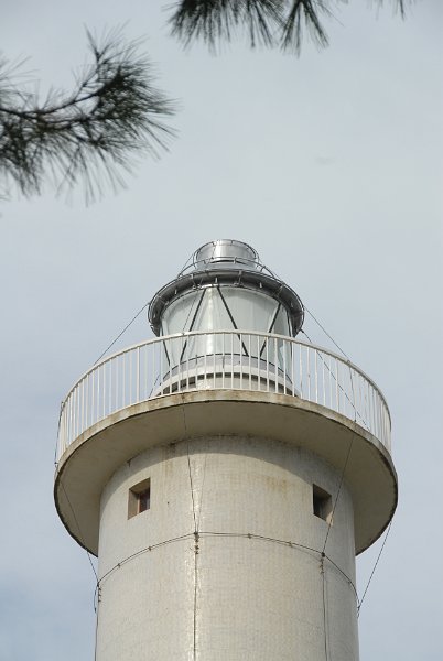 DSC_0317.JPG