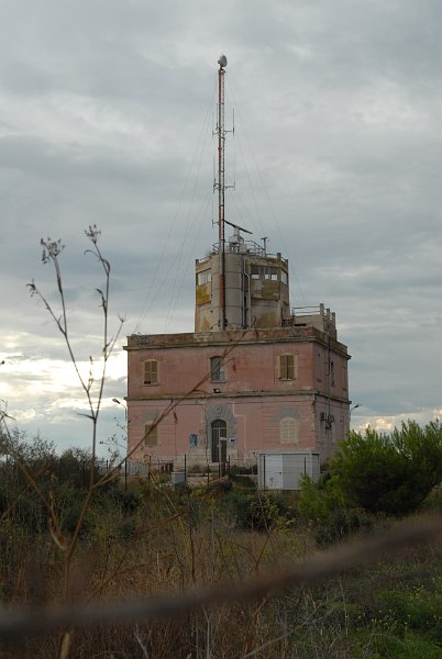 DSC_0530.JPG