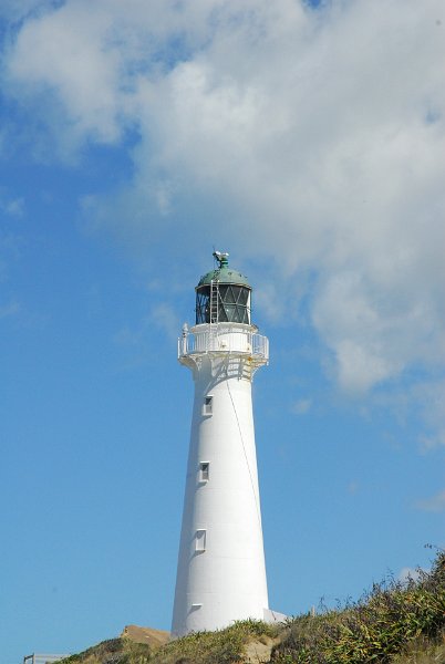 DSC_2551.JPG