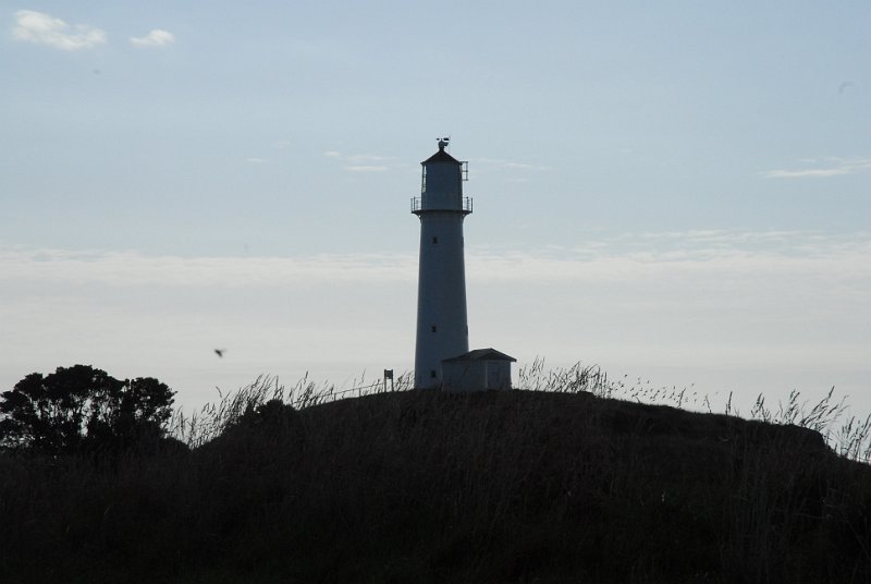 DSC_2794.JPG