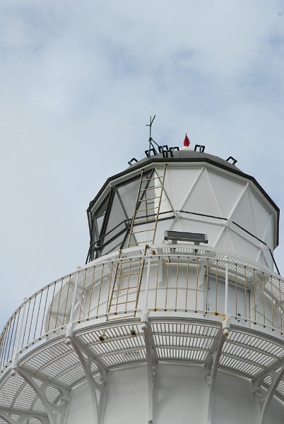 DSC_2604.JPG