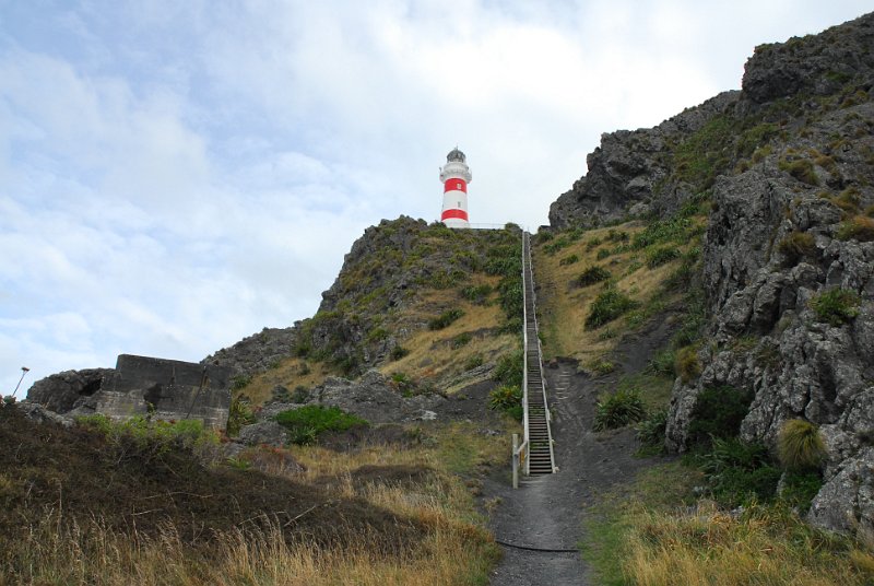 DSC_2620.JPG
