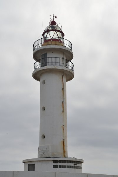 DSC_2439.JPG