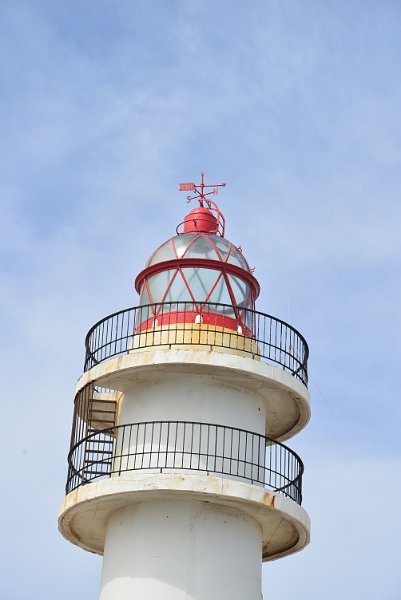 DSC_2449.JPG