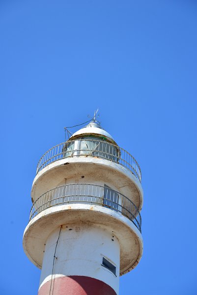 DSC_2393.JPG