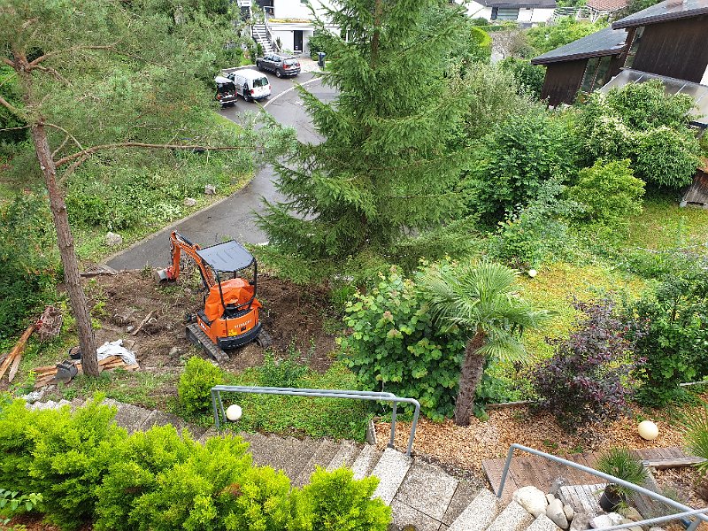 20210717_173852.jpg - bäume und büsche entlang der brüstung sind teilweise schon gefällt.   trees and bushes along the edge have been cut down partially