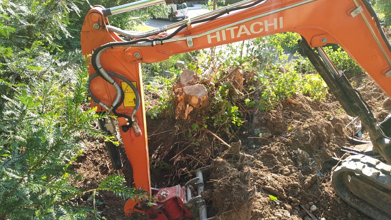 IMG-20210720-WA0005.jpeg - die wurzel des übels.... ausgraben dauerte eine stunde. zum ausreissen war der bagger zu schwach  root cause.... took me an hour to get rid of it. the small excavator was not strong enough to just rip it out