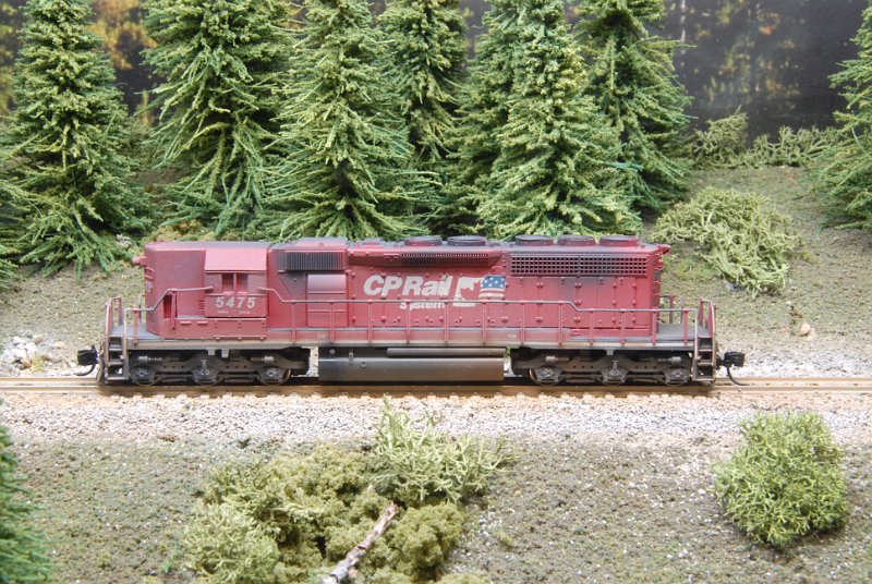 DSC_9322.JPG