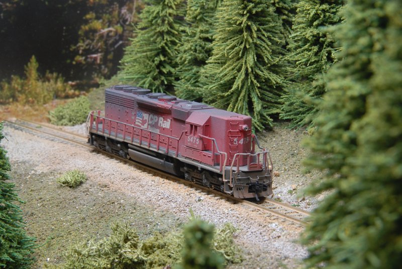 DSC_9334.JPG