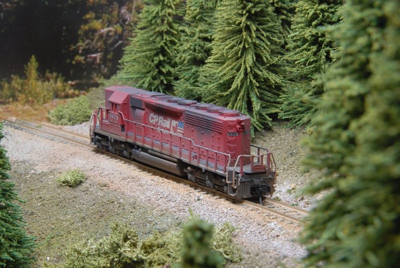 DSC_9335.JPG