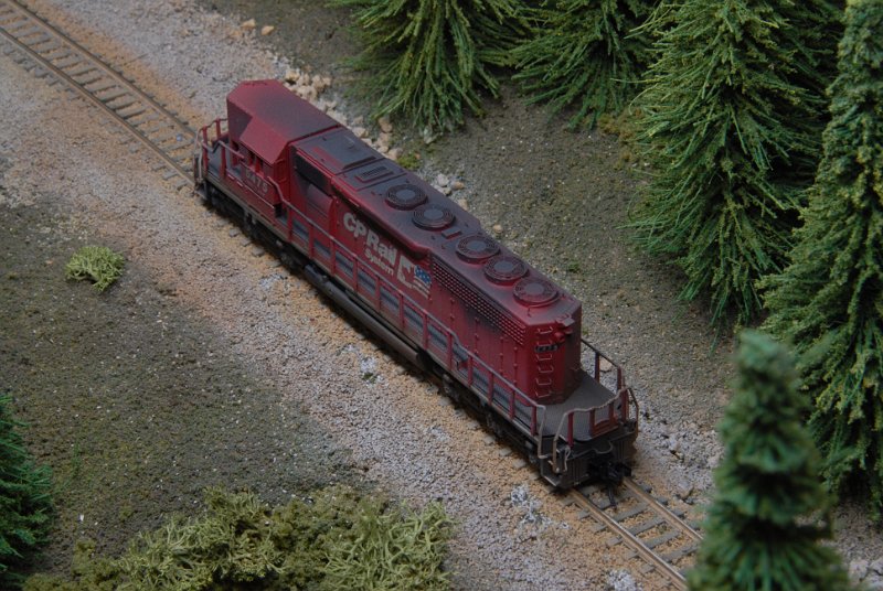DSC_9345.JPG