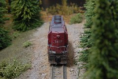 DSC_9357