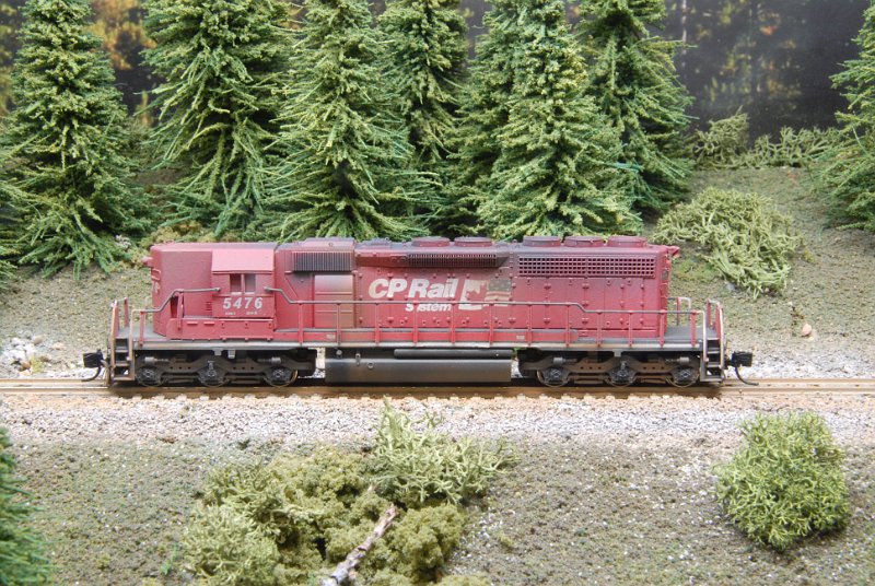 DSC_9323.JPG