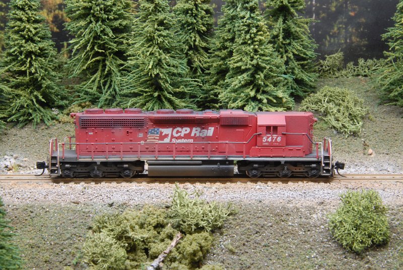 DSC_9328.JPG