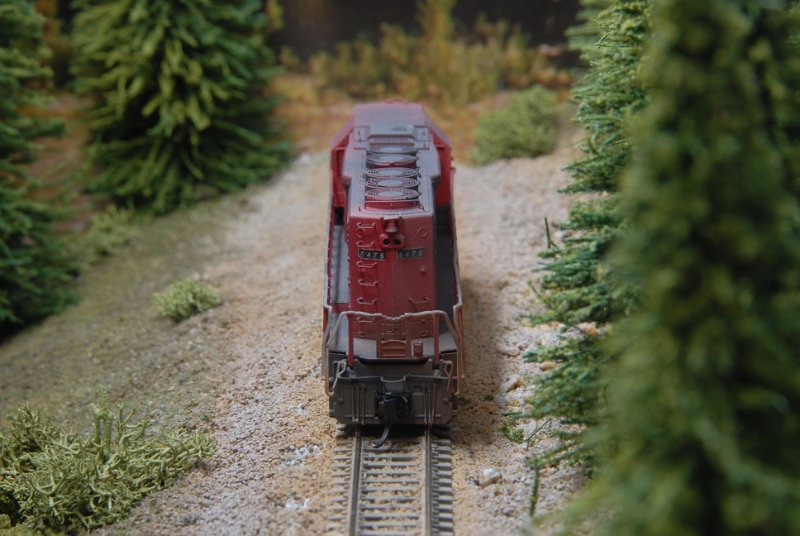 DSC_9358.JPG