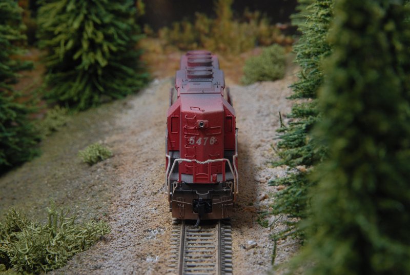 DSC_9359.JPG