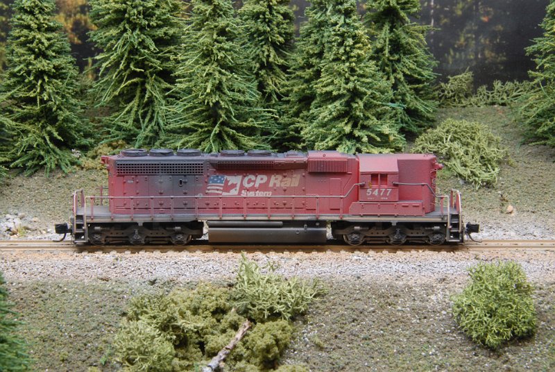 DSC_9329.JPG