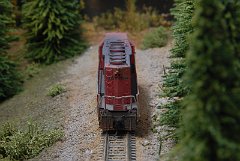 DSC_9362