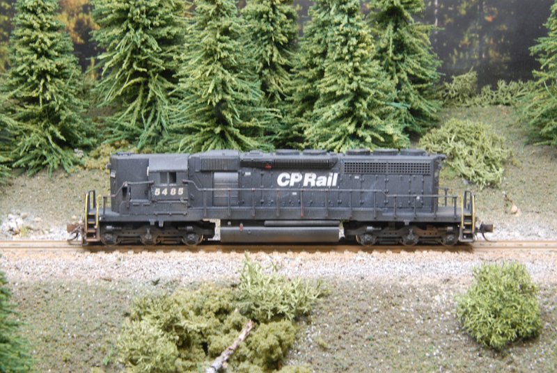 DSC_9321.JPG