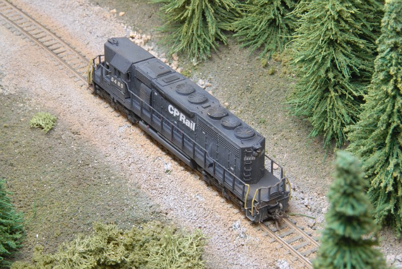 DSC_9343.JPG