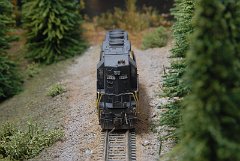DSC_9354