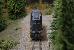 DSC_9355