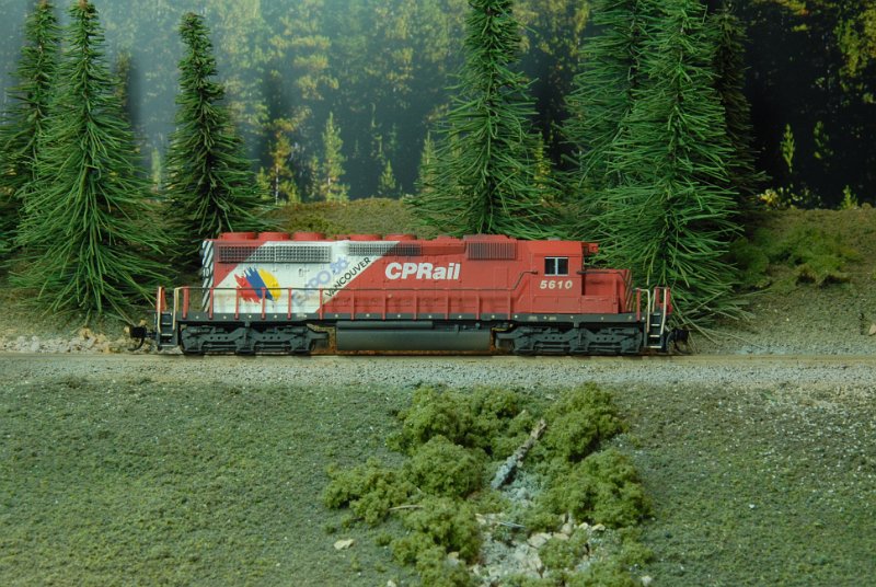DSC_9077.JPG