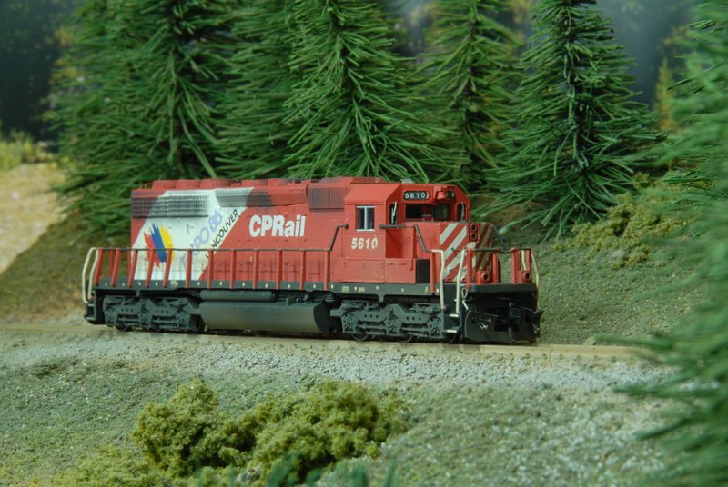 DSC_9079.JPG