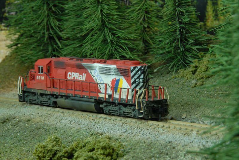 DSC_9081.JPG