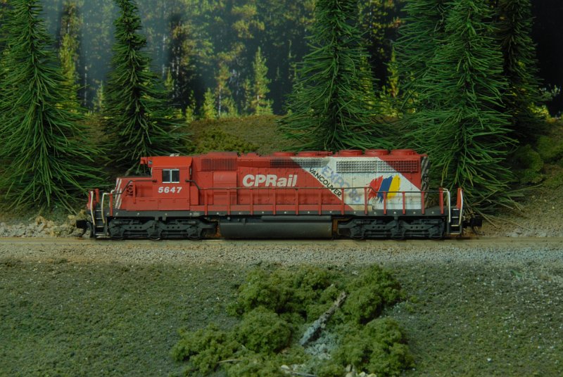 DSC_9100.JPG