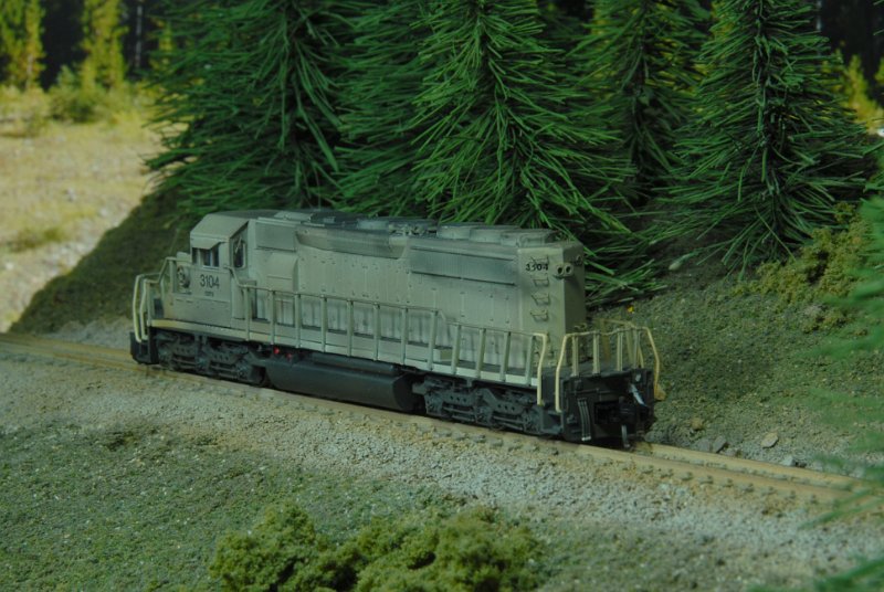DSC_9167.JPG