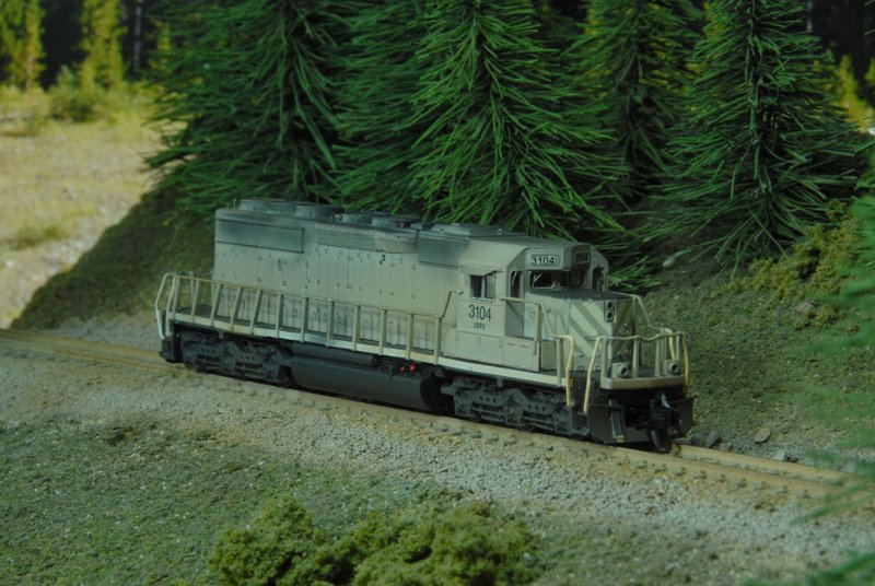 DSC_9168.JPG