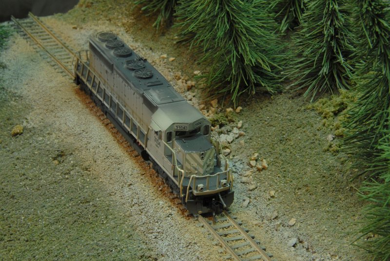 DSC_9216.JPG