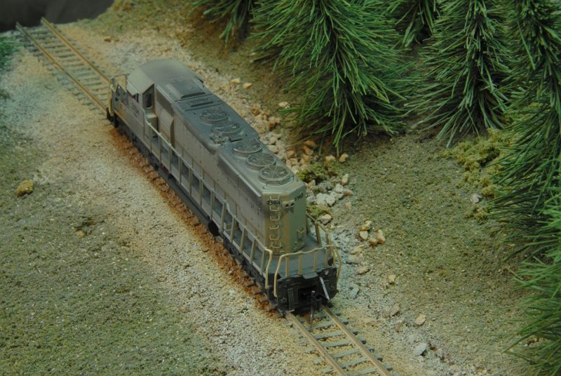 DSC_9217.JPG