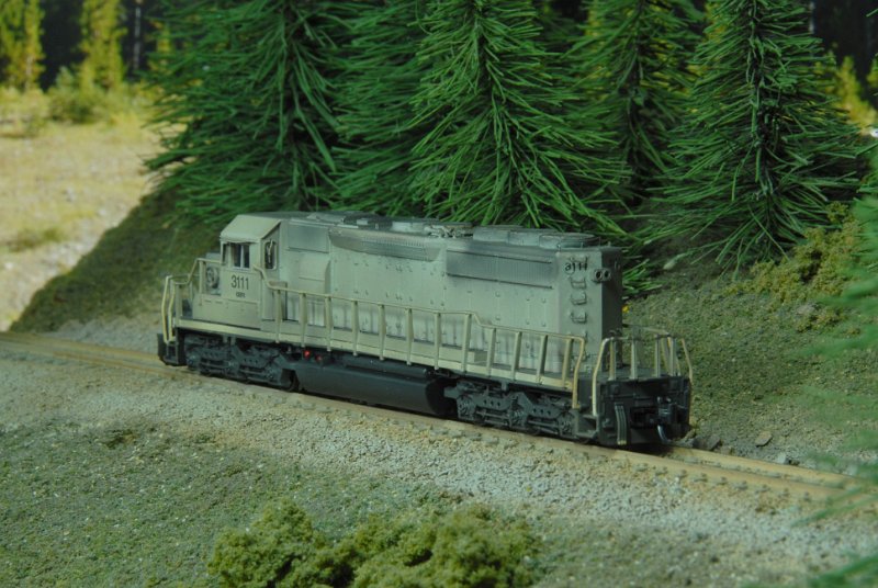 DSC_9159.JPG