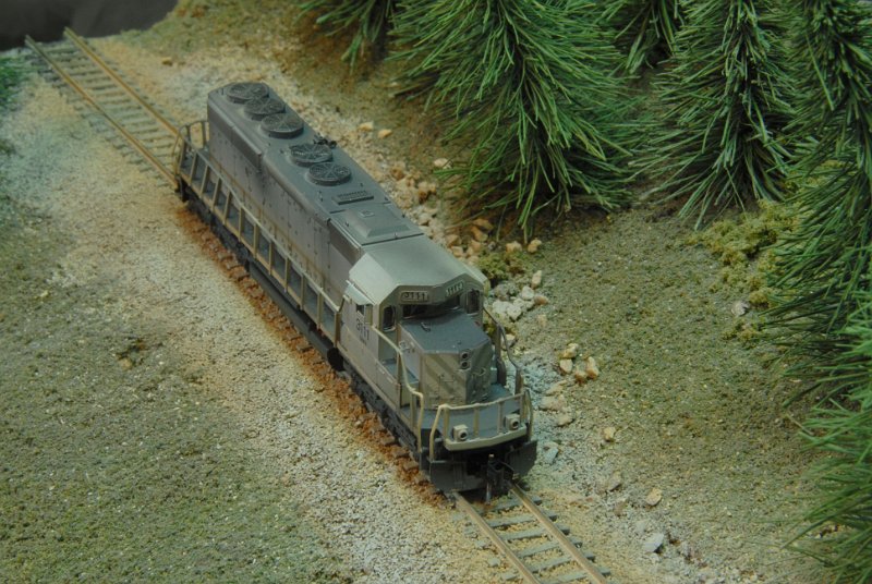 DSC_9224.JPG