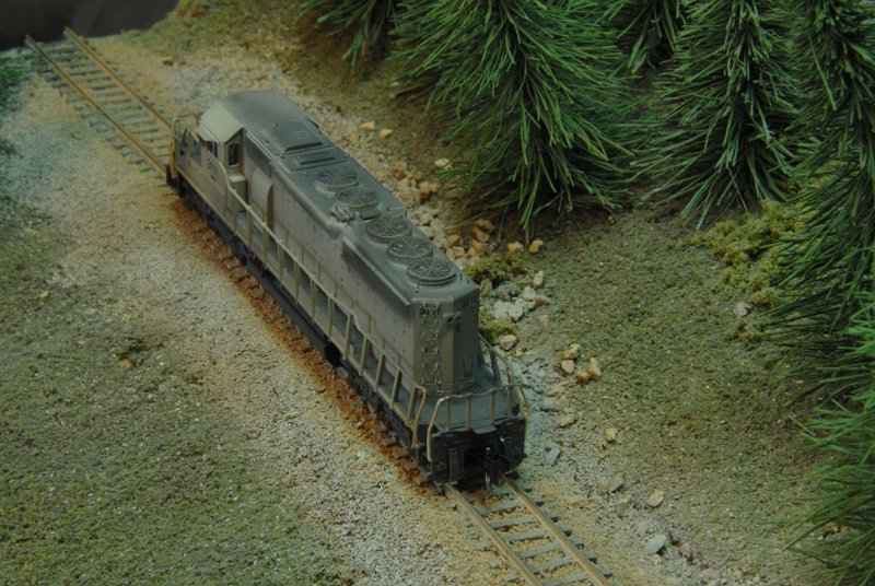 DSC_9225.JPG