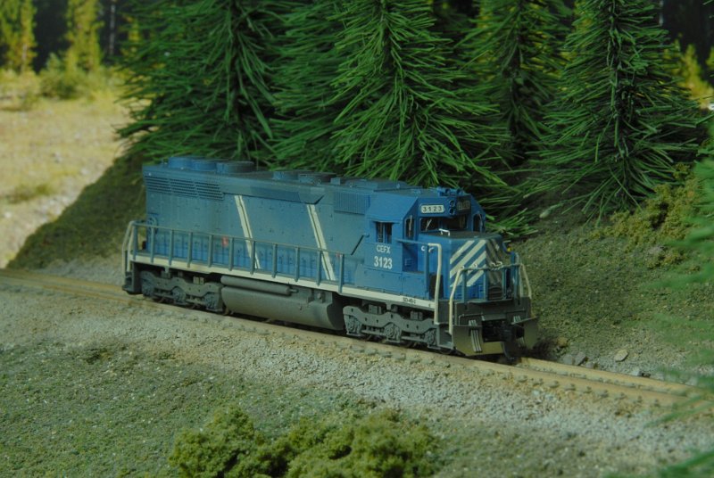 DSC_9181.JPG
