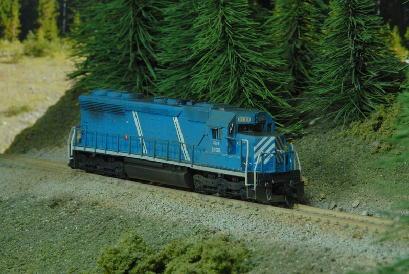 DSC_9173.JPG