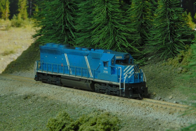 DSC_9177.JPG